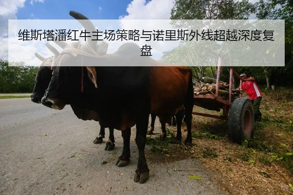 维斯塔潘红牛主场策略与诺里斯外线超越深度复盘