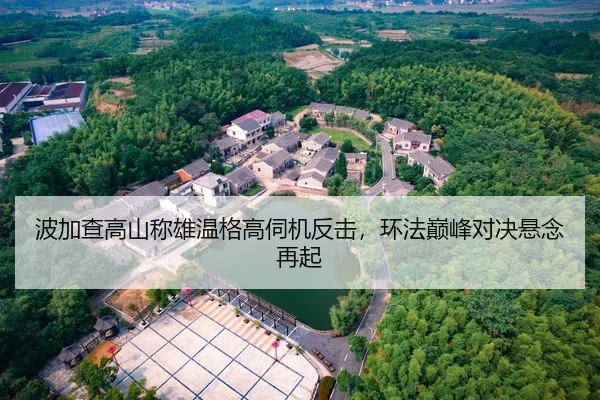 波加查高山称雄温格高伺机反击，环法巅峰对决悬念再起